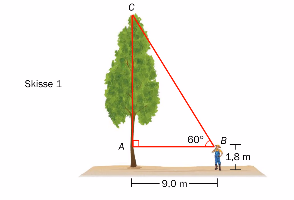 Skisse 1: Et tre der A er på stammen i øyehøyde 1{,}8 m over bakken, C er toppen av treet og B er der Christian står. AB = 9{,}0 m og vinkelen ved B er 60\degree