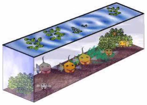 Tegning av et akvarium formet som et rett prisme