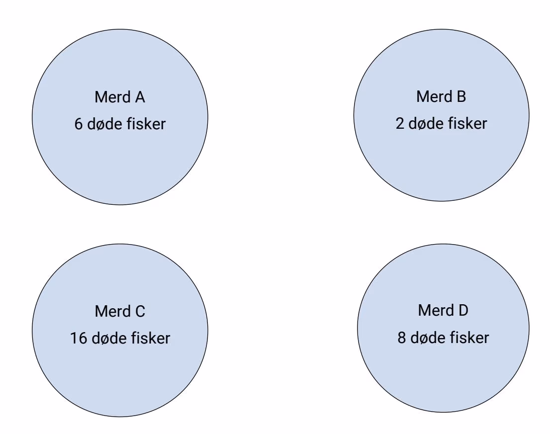Merder med antall døde fisker