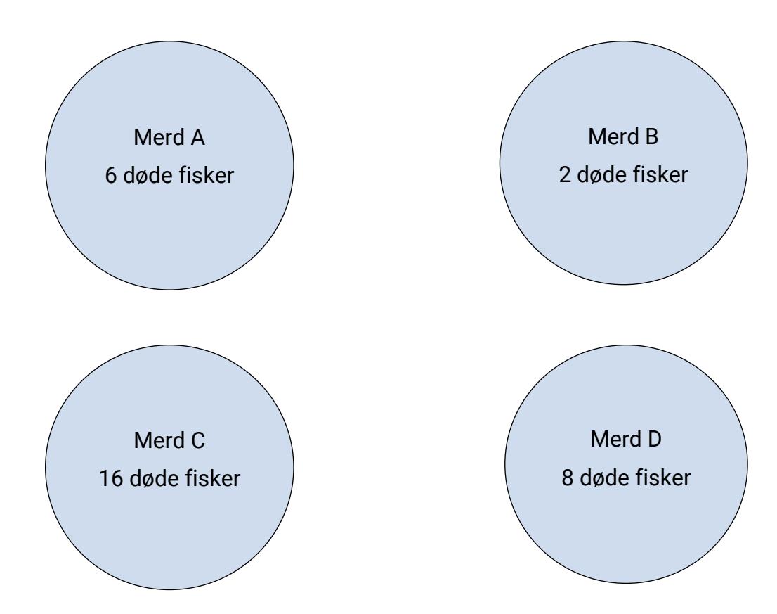 Merder med antall døde fisker