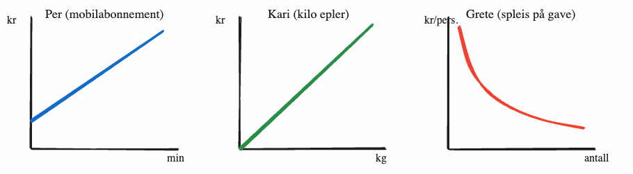 Skisser av de tre grafene: Per (rett linje som ikke går gjennom origo), Kari (rett linje gjennom origo) og Grete (fallende kurve, omvendt proporsjonal)