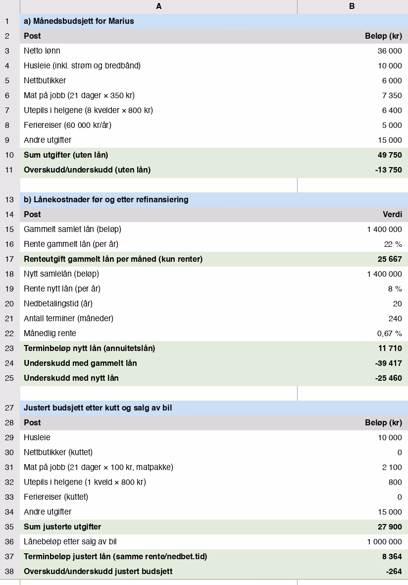 Regneark med Marius sitt månedsbudsjett – verdier