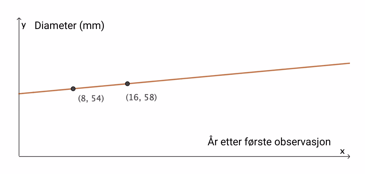 Graf som viser diameter (mm) mot år etter første observasjon, med punktene (8, 54) og (16, 58)