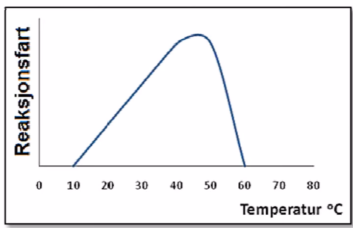 Reaksjonsfart som funksjon av temperatur fra 0 °C til 80 °C