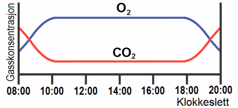 Konsentrasjonen av O2 og CO2 i vannet i en dam fra klokka 08.00 til 20.00
