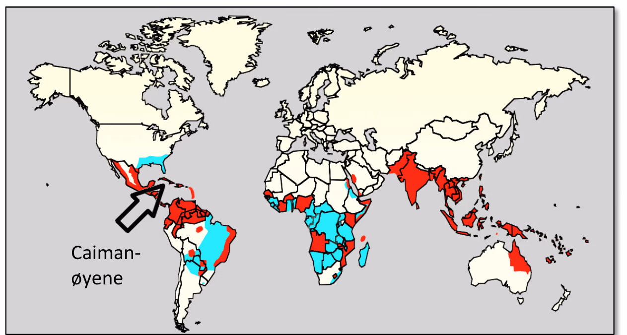 Verdenskart med områder i blått og rødt i Amerika, Afrika, Asia og Australia. En pil peker på Caiman-øyene