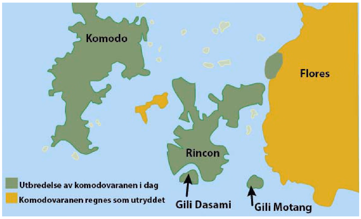 Kartet viser områder hvor vi finner komodovaraner i dag (grønn farge) og områder hvor arten regnes som utryddet (gul farge).