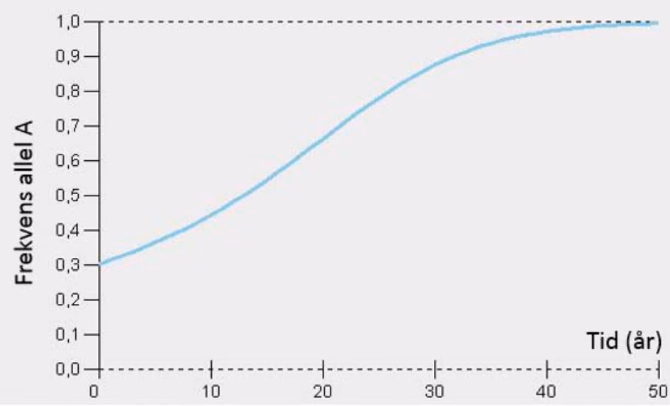 Frekvensen til allel A som funksjon av tid (år) fra 0 til 50 år