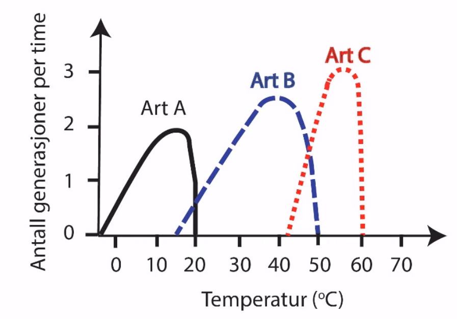 Antall generasjoner per time som funksjon av temperatur (°C) for art A, art B og art C