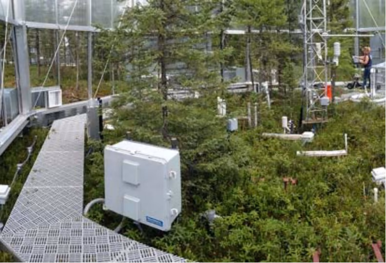 Innhegning der \mathrm{CO_2}-konsentrasjonen er doblet og temperaturen er økt med 9 °C.