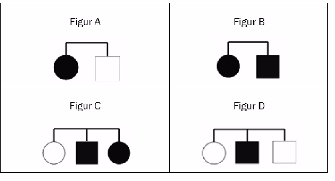 Fire figurer med mulige barn. A: fargeblind jente og gutt med normalt fargesyn. B: fargeblind jente og fargeblind gutt. C: jente med normalt fargesyn, fargeblind gutt og fargeblind jente. D: jente med normalt fargesyn, fargeblind gutt og gutt med normalt fargesyn