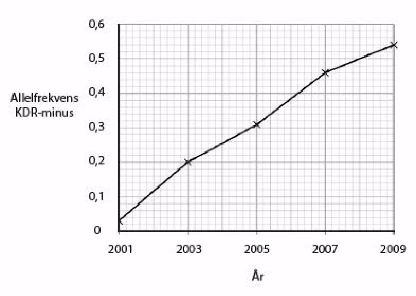 Allelfrekvensen til KDR-minus fra 2001 til 2009: om lag 0,03 i 2001, 0,2 i 2003, 0,31 i 2005, 0,46 i 2007 og 0,54 i 2009