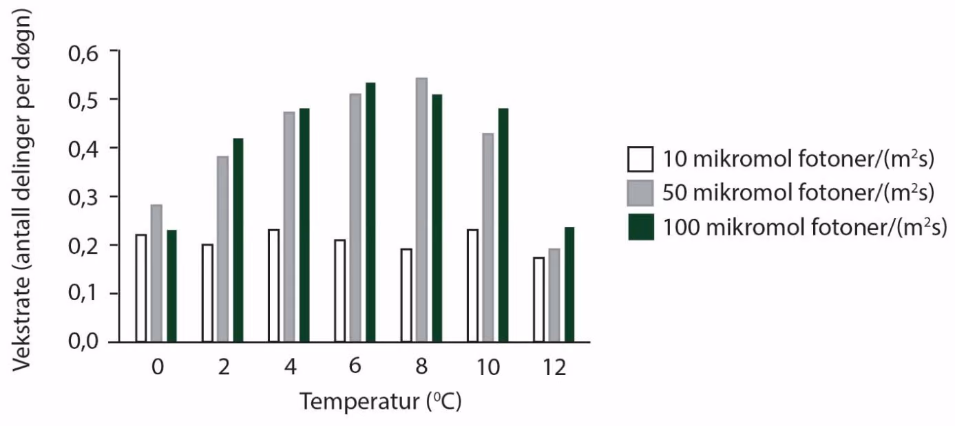 Vekst hos algen Micromonas som funksjon av temperaturen ved tre lysintensiteter (lysintensiteten øker med økende mikromol fotoner).