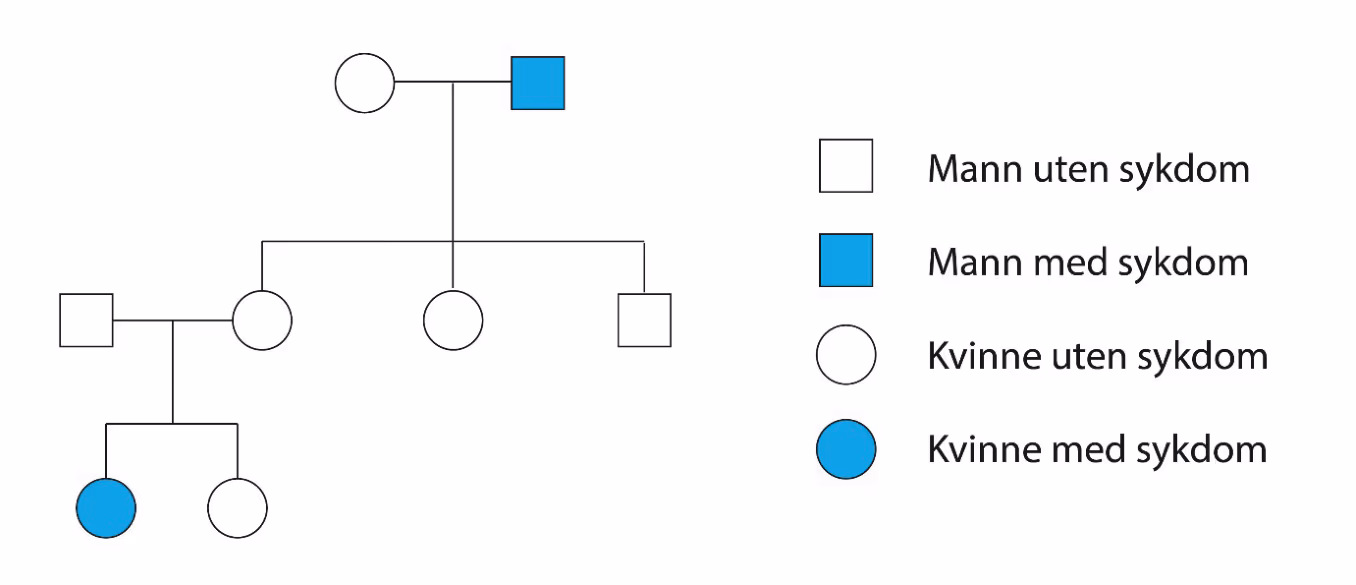 Stamtavle for en sykdom i en familie