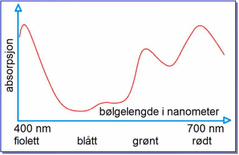 Absorpsjon som funksjon av bølgelengde fra 400 nm (fiolett) til 700 nm (rødt). Absorpsjonen er høy i fiolett, lav i blått, har en topp i grønt og en høyere topp i rødt.