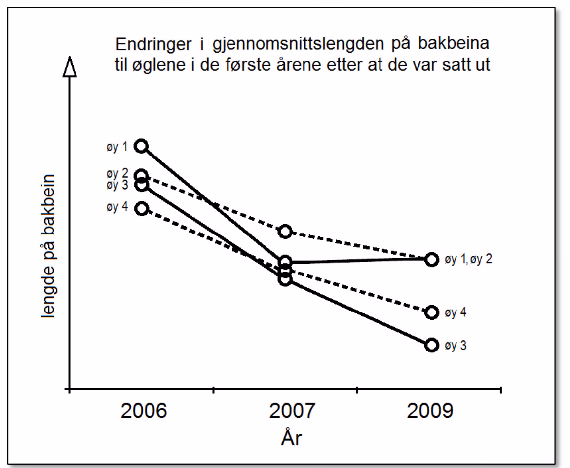 Figuren viser hva som skjedde med populasjonene på fire av øyene. På alle øyene ble beina til øglene gjennomsnittlig mye kortere fra 2006 til 2009, men øglene hadde fremdeles i gjennomsnitt lengst bein på de øyene der det opprinnelige paret hadde de lengste beina. Endret etter Science, 02.03.2012.