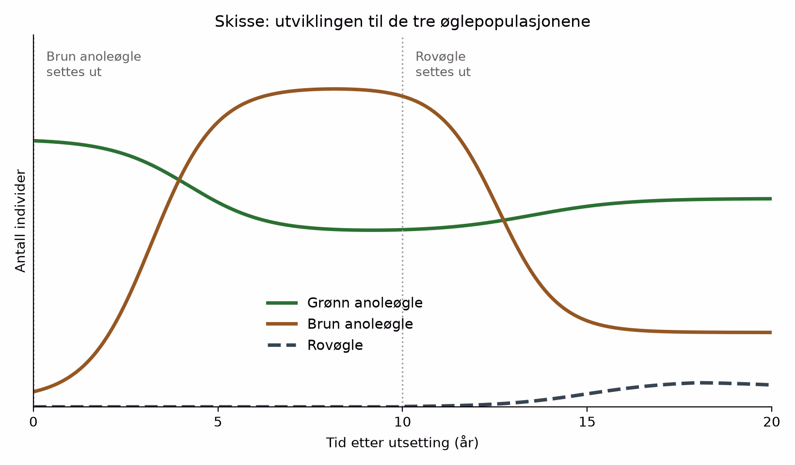 Skisse av vekstkurver for de tre øglepopulasjonene