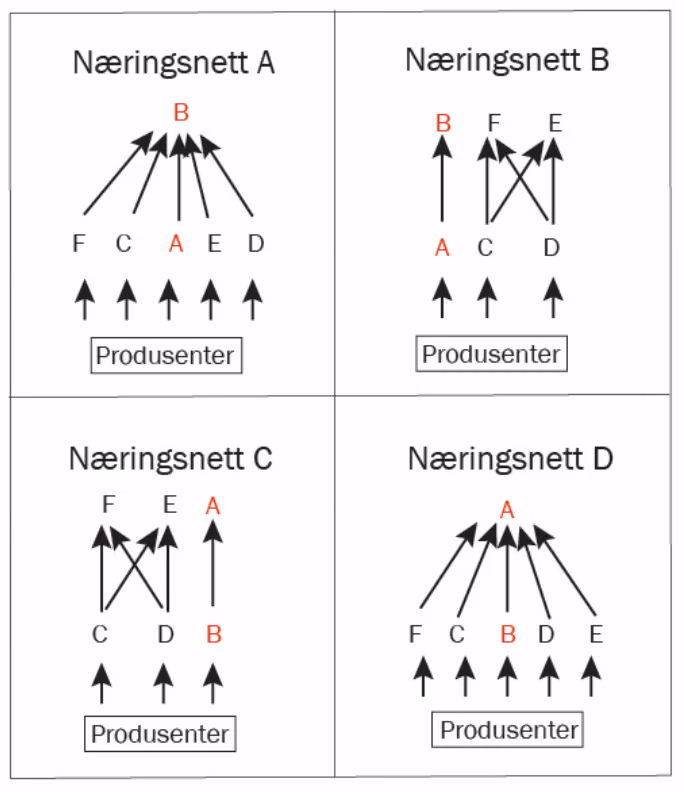 Næringsnett A–D med artene A–F og produsenter