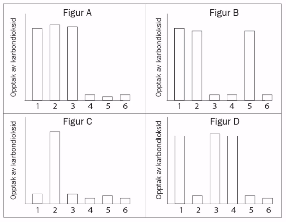 Figur A–D: søylediagram over opptak av karbondioksid i reagensglass 1–6