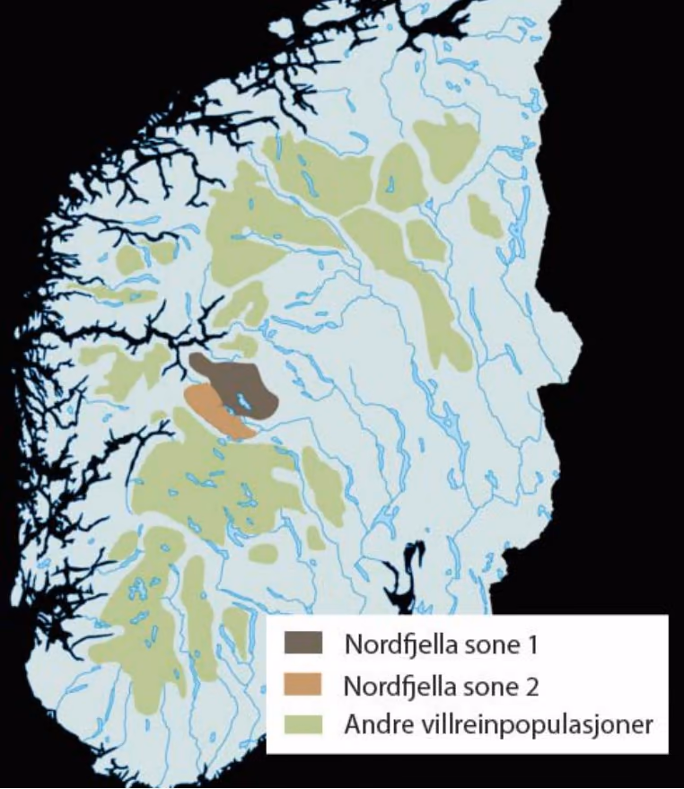 Kartet viser utbredelse av villrein i Norge.