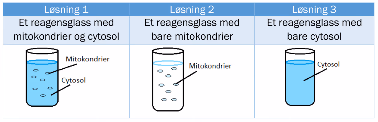 Løsning 1: et reagensglass med mitokondrier og cytosol. Løsning 2: et reagensglass med bare mitokondrier. Løsning 3: et reagensglass med bare cytosol.