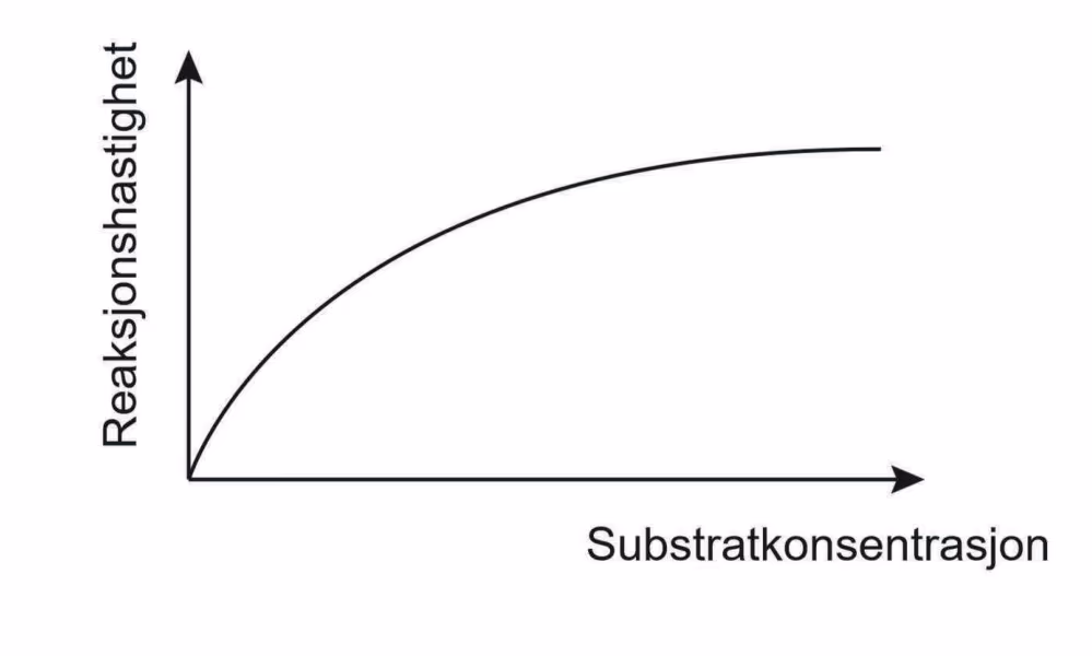 Reaksjonshastighet som funksjon av substratkonsentrasjon