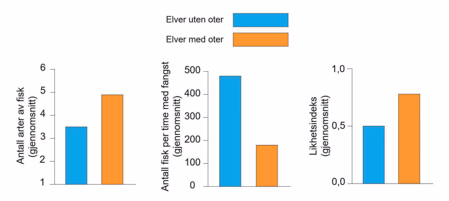 Antallet fiskearter, antallet fisk fanget per time, og likhetsindeks (oppgitt som gjennomsnittsverdien for elver uten og med oter)