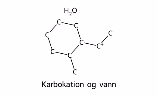 Karbokation og vann. C-atomet som hadde OH-gruppen, har bare tre bindinger og positiv ladning.