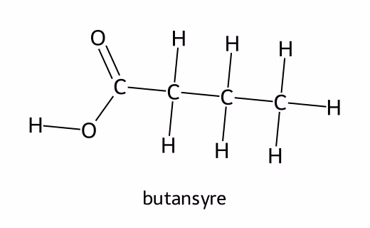Strukturformel for butansyre