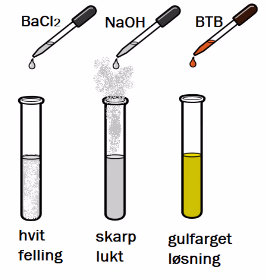 Tre reagensrør tilsatt BaCl2 (hvit felling), NaOH (skarp lukt) og BTB (gulfarget løsning)
