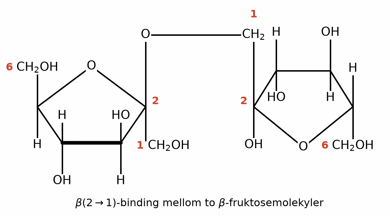 Haworth-formel for disakkaridet av to β-fruktosemolekyler bundet sammen med β(2→1)-binding