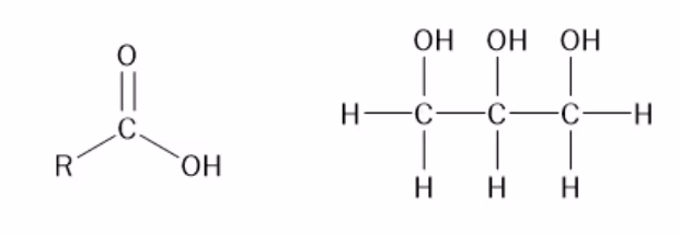 Strukturformel for en generell fettsyre R–COOH og for glyserol